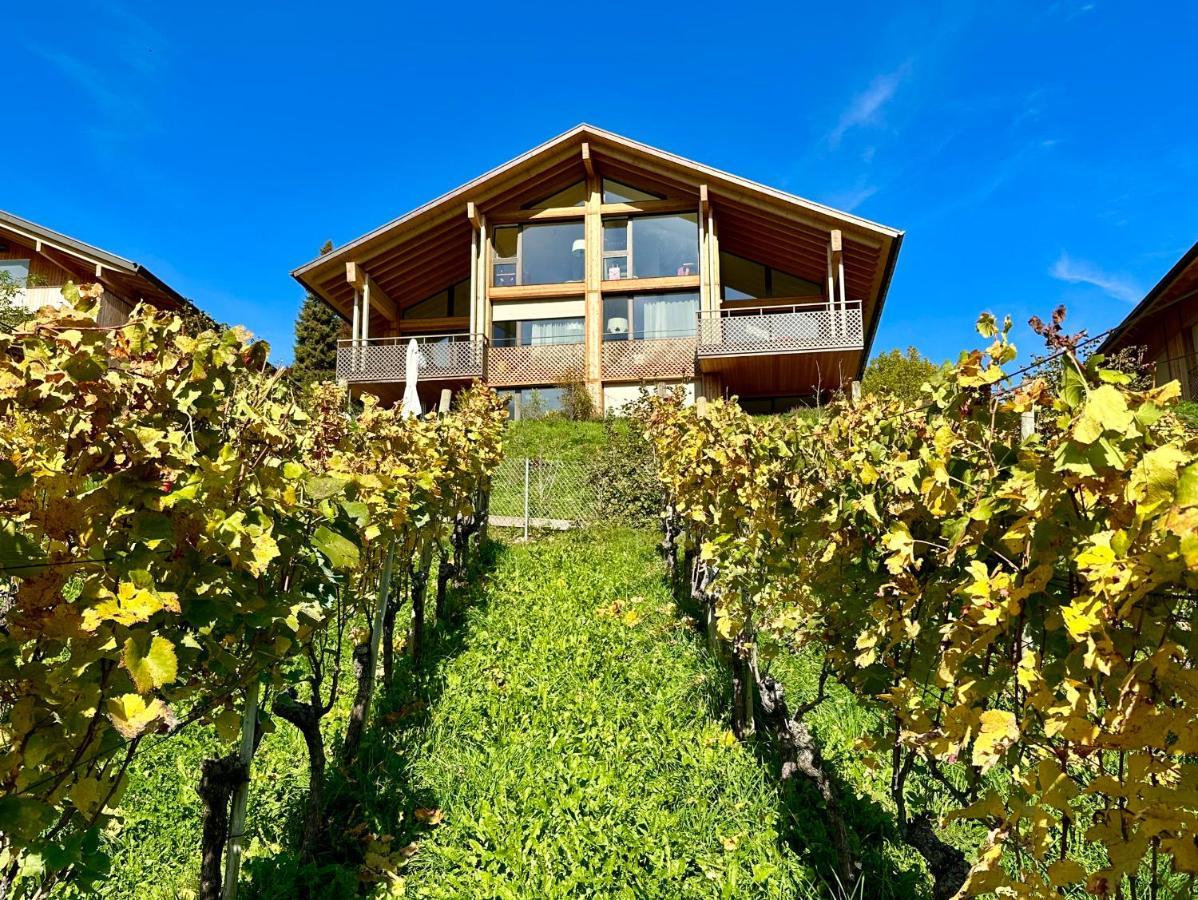 Seaside-Lodge, Top Apartment Spiez Dış mekan fotoğraf